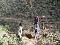 森づくりワークショップの様子